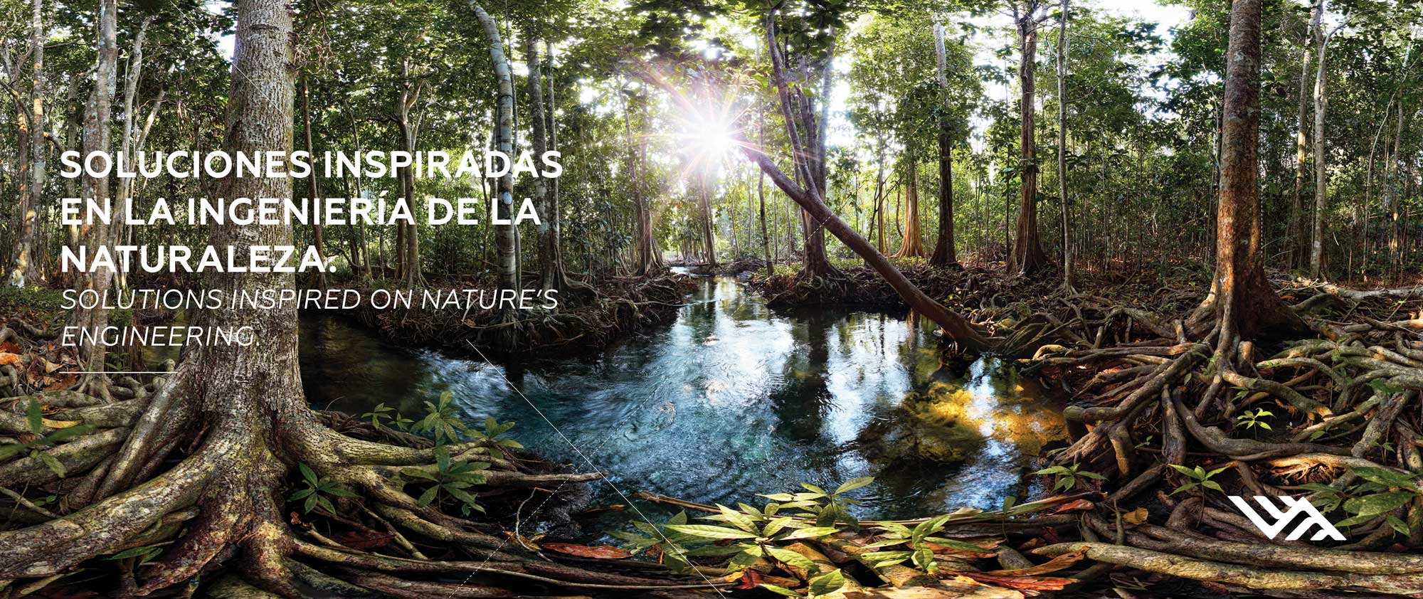 Soluciones inspiradas en la ingeniería de la naturaleza